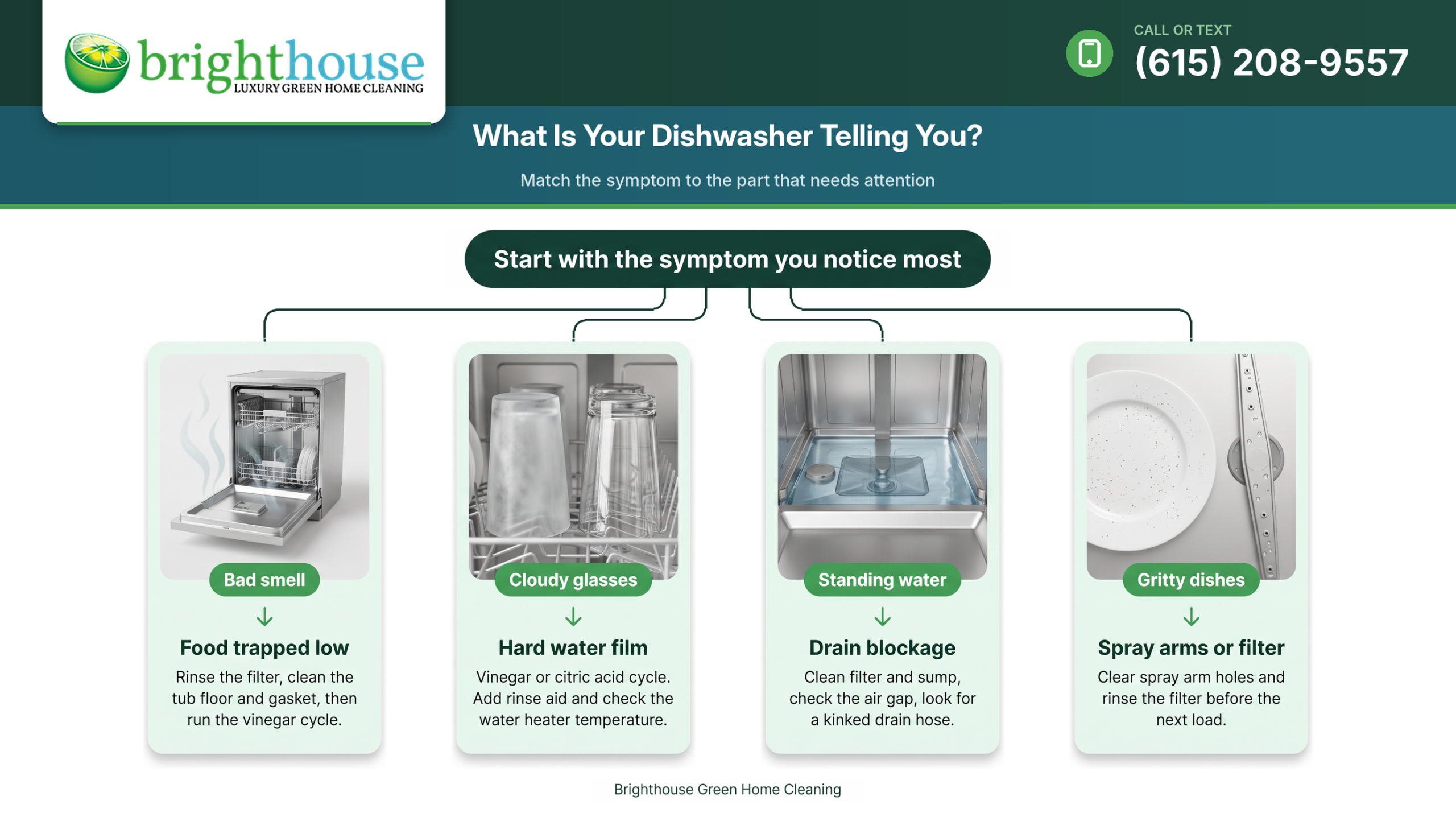 Fixing Smells, Cloudy Glasses and Mold